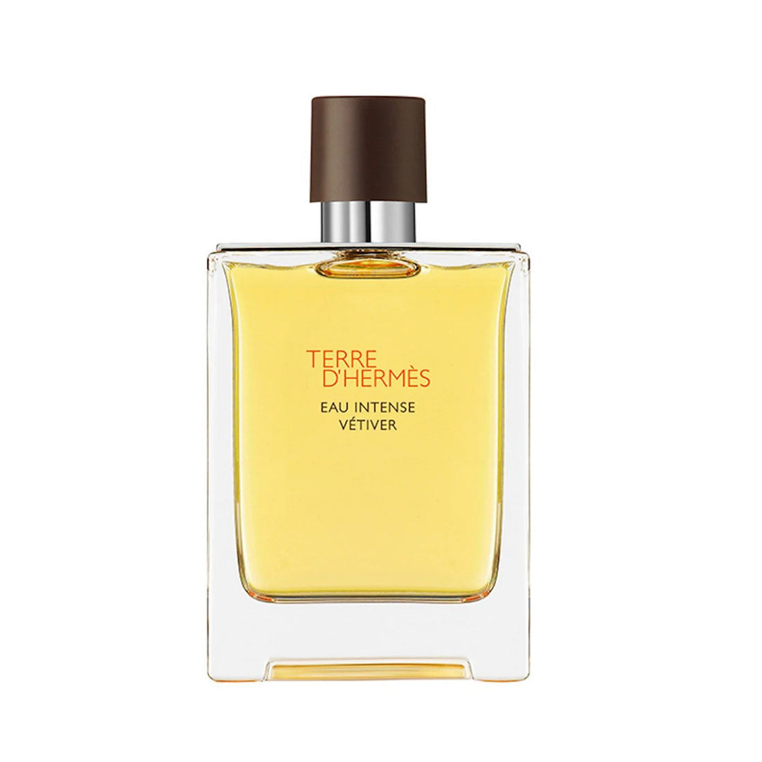 Terre d&